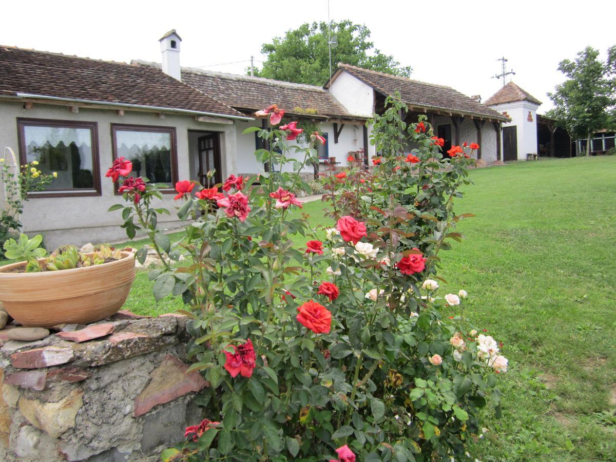 Guest House Vila Albedo Varna Экстерьер фото