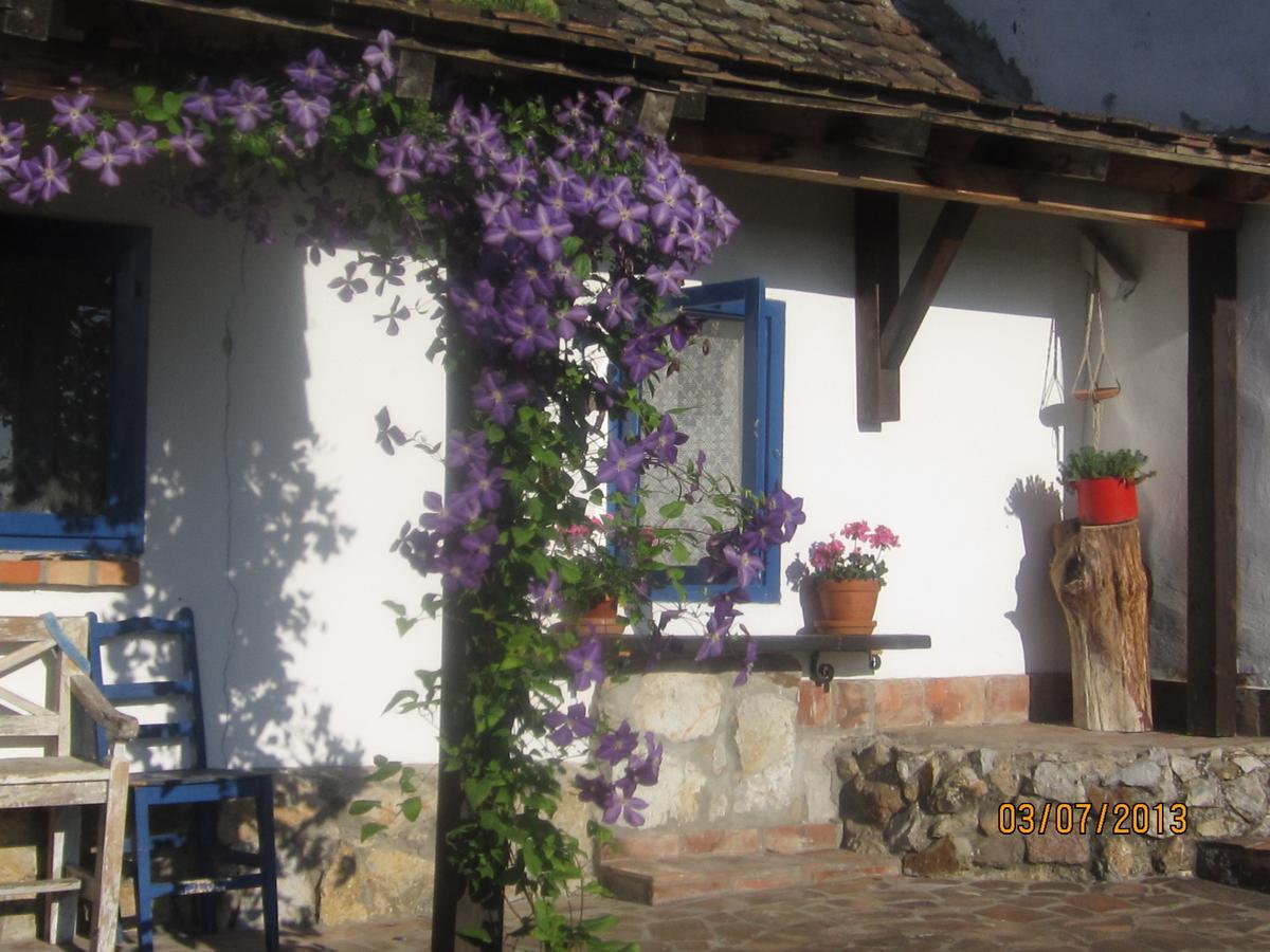 Guest House Vila Albedo Varna Экстерьер фото